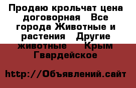 Продаю крольчат цена договорная - Все города Животные и растения » Другие животные   . Крым,Гвардейское